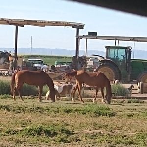 Meet your Posher, Kyle